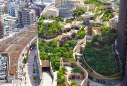 Toits végétalisés