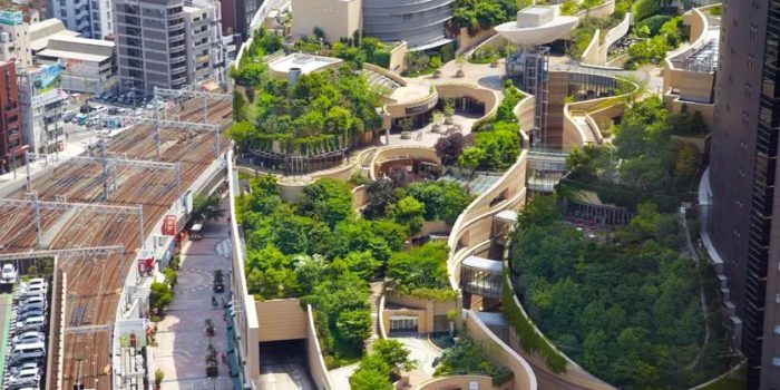 Toits végétalisés