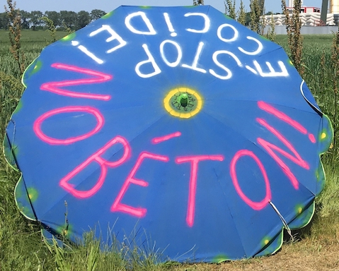 Écho du Triangle juillet 2026 parasol no beton