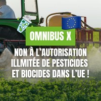 omnibus octobre 2026